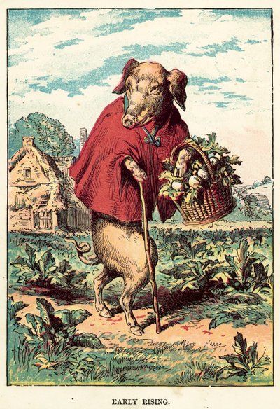 Frühes Aufstehen von English School